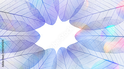 background from leaves sceletons with veins and cells - macro photography