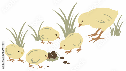 Fluffy Yellow Chicks Discovering Eggs in Grass for Easter Spring Farm Animal Illustration for Children's Education Websites