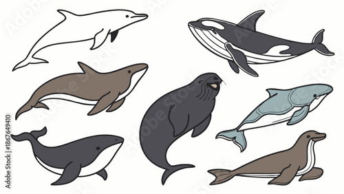 Marine Mammal Collection Vector Set Ocean Wildlife for Ecology Education or Sea Life Web Design Projects