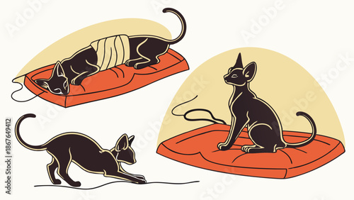 Sleek Black Sphynx Cat Illustrations Resting Playing on Orange Pet Beds for Pet Care Web Design Projects