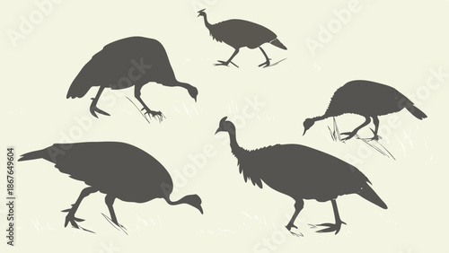 Wild Turkey Silhouettes Foraging Group Diverse Poses Hunting Game Bird Graphics For Thanksgiving Or Autumnal Design Projects