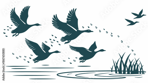 Migrating Geese Taking Flight Over Water and Reeds for Nature Travel Brochures and Seasonal Wildlife Design Projects