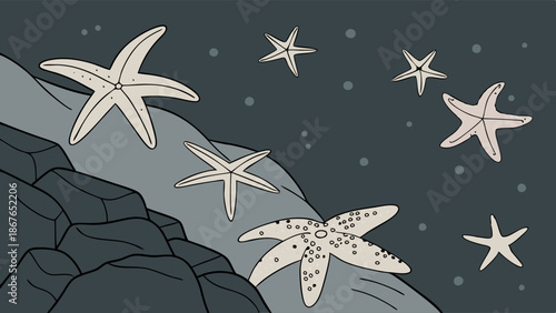Underwater Scene with Starfish Clinging to Dark Rocks for Ocean Ecology Projects and Marine Life Websites