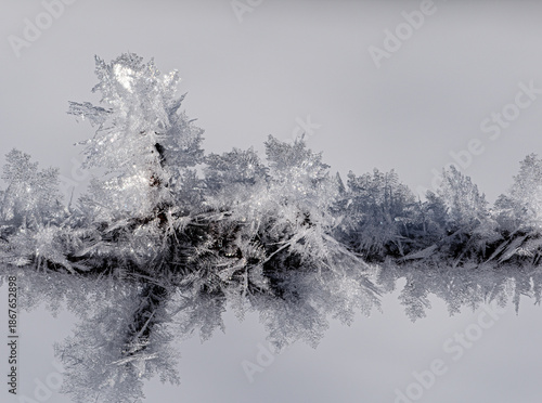 macro of ice crystals