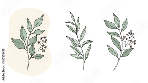 Illustration of various green leaves and flowers from different viewpoints on a white background