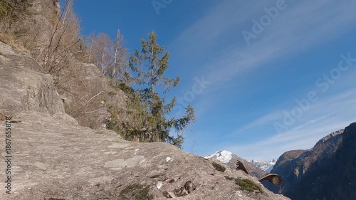 Golden Eagle in Slow Motion Flying Over the Italian Alps