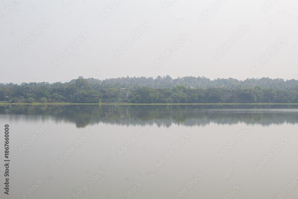 Naklejka premium landscape with lake