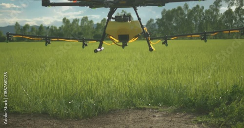 Agriculture drone taking off and flying over green rice paddy field start spraying water, pesticides, fertilizers, chemicals and other inputs liquid, smart farming technology.