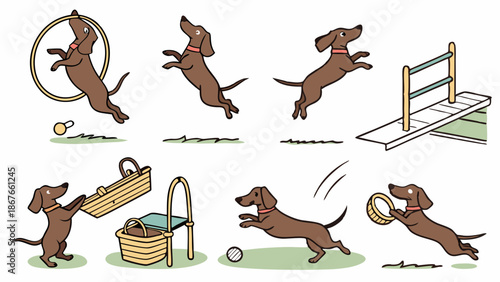 Energetic Dachshund Dog Performing Agility Course Jumps and Playful Tricks for Pet Training Websites and Animal Care Ads