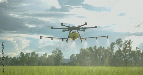Agriculture drone flying over green rice paddy field spraying water, pesticides, fertilizers, chemicals and other inputs liquid, smart farming technology