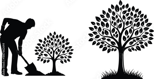 Man planting young tree growing into large tree, sustainability, growth, environment care concept, future success, black white silhouette illustrationWeb