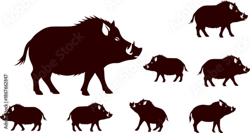 wild hog silhouettes vectors

