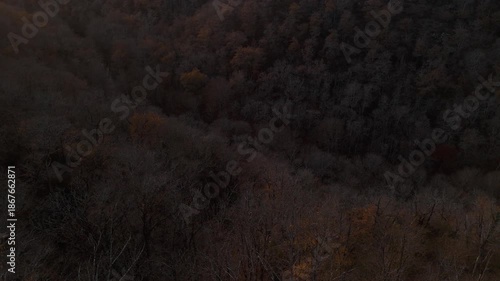Mystic autumn aerial - forest and hills drone footage