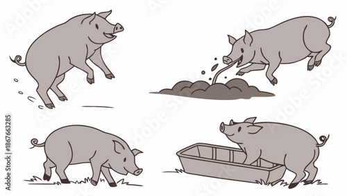 Happy Farm Pigs Playing Jumping Rolling Eating Mud in Countryside Livestock Illustration for Agriculture Websites