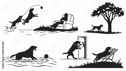Happy Labrador Dog Silhouettes Playing Swimming Relaxing Outdoors for Pet Care Website Design Summer Fun