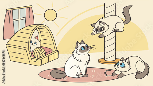 Four Adorable Ragdoll Cats Playing Indoors on Sunny Day for Pet Care Website Design or Animal Shelter Promotion