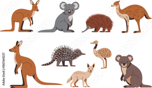 Cartoon illustration of iconic Australian wildlife including kangaroo, koala, emu, echidna, dingo, and wallaby in cute vector style for educational use.