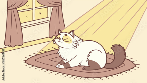 Fluffy Ragdoll Cat Relaxing in Warm Sunlight Beam on Cozy Rug for Pet Care Websites