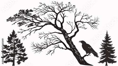 Rustic Black Silhouette Trees and Crow Perched on Branch for Nature Design Elements and Forest Backgrounds