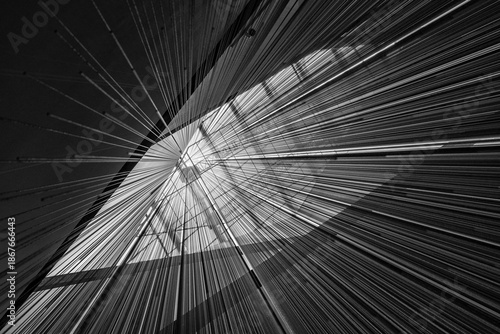 Black and White Low Angle Abstract of Geometric Lines and Architecture Under a Glass Ceiling