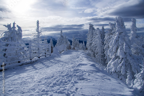 snow covered road, Postavaru Mountains, Romania 