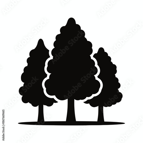 Three tall trees