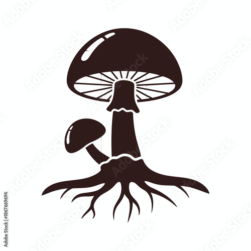 Silhouette of mushrooms