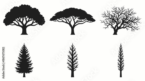 Tree Silhouette Vector Set Featuring Broadleaf and Coniferous Types for Botanical Education, Landscape Design, and Environmental Visualization Projects