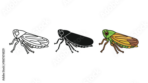 Set of three leafhopper insects outline drawing, silhouette, and colored illustration