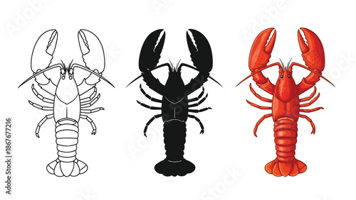 Set of three lobsters outline drawing, black silhouette, and realistic red color illustration