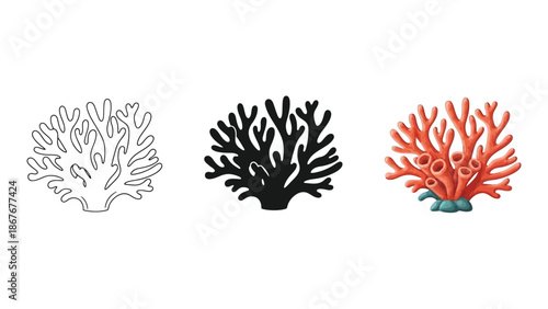 Set of three coral illustrations outline, silhouette, and colored drawing