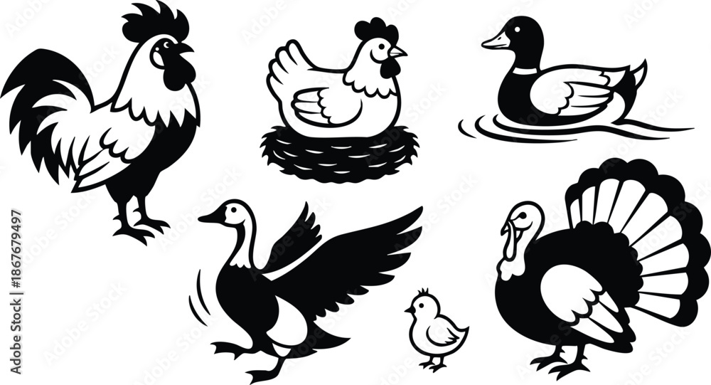 Fototapeta premium Silhouette vector farm birds composition rooster crowing hen nesting on nest duck swimming goose flying turkey strutting chick nearby pond scene flat icon black white set