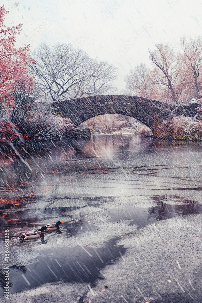 Fototapeta premium Gapstow bridge during winter, Central Park New York City. USA