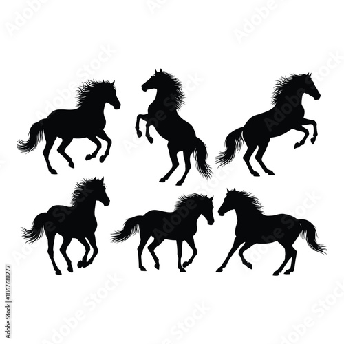 Silhouette collection of majestic horses in various dynamic poses and arrangements
