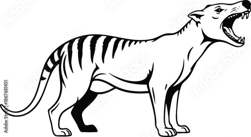 Tattoo flash snarling thylacine tasmanian tiger side profile vector line art close up open mouth showing teeth pelvic stripes vintage animal emblem logo monochrome badge icon