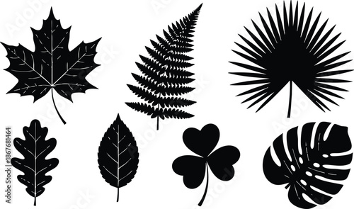 Flat design close up assortment of seven leaf silhouettes arranged in two rows on white background minimalist botanical vector art clean high contrast icons studio style