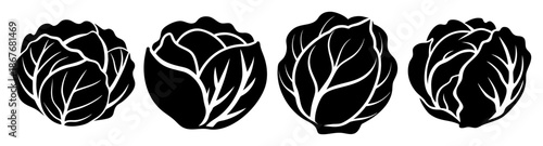 Black and white silhouette illustration of four fresh cabbages for various designs Vector