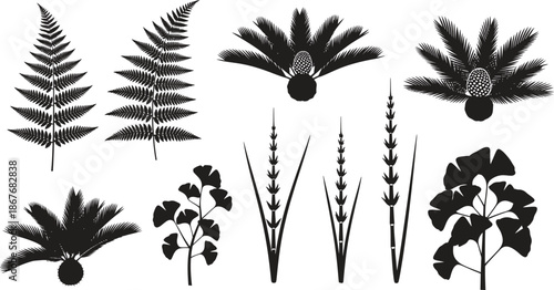 Collection of various fern and plant silhouettes
