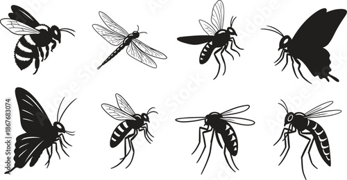 Collection of various flying insects in black silhouette