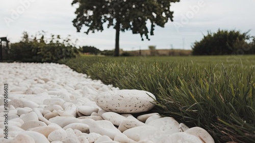 white stones in the garden on the grass