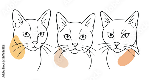 Minimal line art illustration of three cat faces with distinct cheek markings, showcasing facial patterns and expression variations in a clean layout