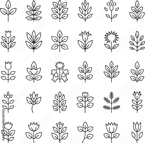 Collection of black and white botanical plant plants