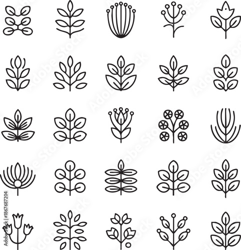 Collection of black and white line of various plants and flowers