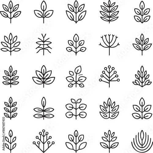 Various Leaf and Plant Line botanical nature