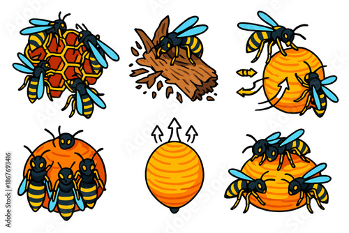Social Wasp Construction. Isometric vector illustration set Social wasp nest construction: wasps building nest combs, papermaking