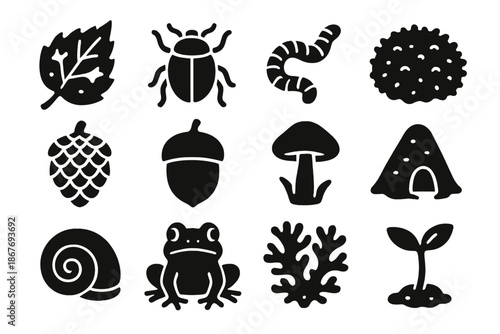 Forest Floor Icons. Solid style icons of Forest floor life: decaying leaf, beetle, earthworm, moss cushion, pinecone, acorn,