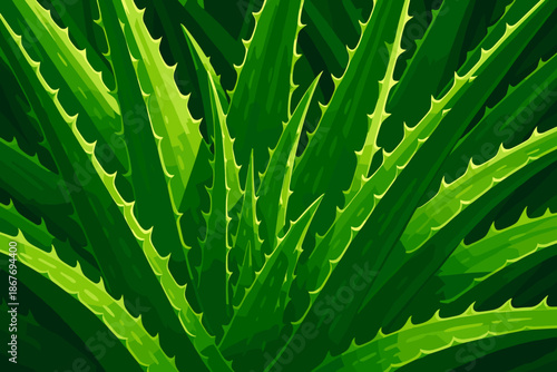 Aloe Vera Brilliance. Close-up of aloe vera plants with sharp natural lighting highlighting their texture, vibrant green tones,