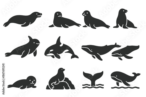 Antarctic Mammal Icons. Solid style icons of Antarctic mammals: leopard seal, Weddell seal, crabeater seal, fur seal, elephant