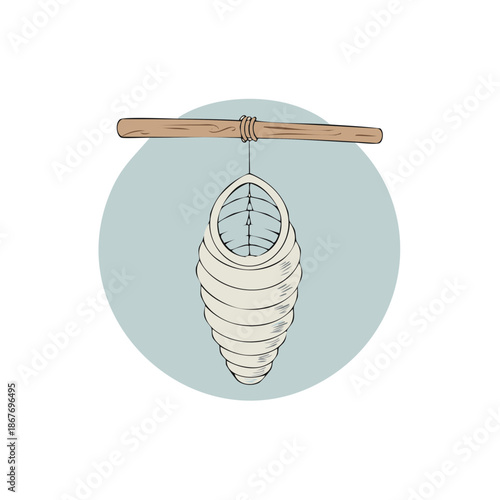 Hanging Chrysalis Illustration with Wooden Stick and Rounded Shape on a Pastel Background