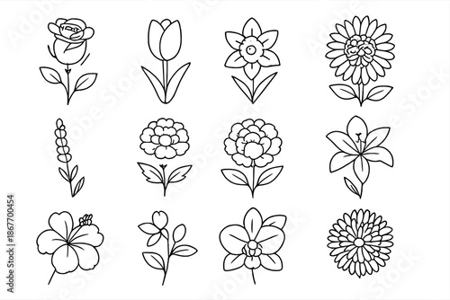 Flower Icons Collection. Line style icons of Flowering Plants: Rose, Tulip, Daffodil, Sunflower; Lavender, Marigold, Peony, Lily;